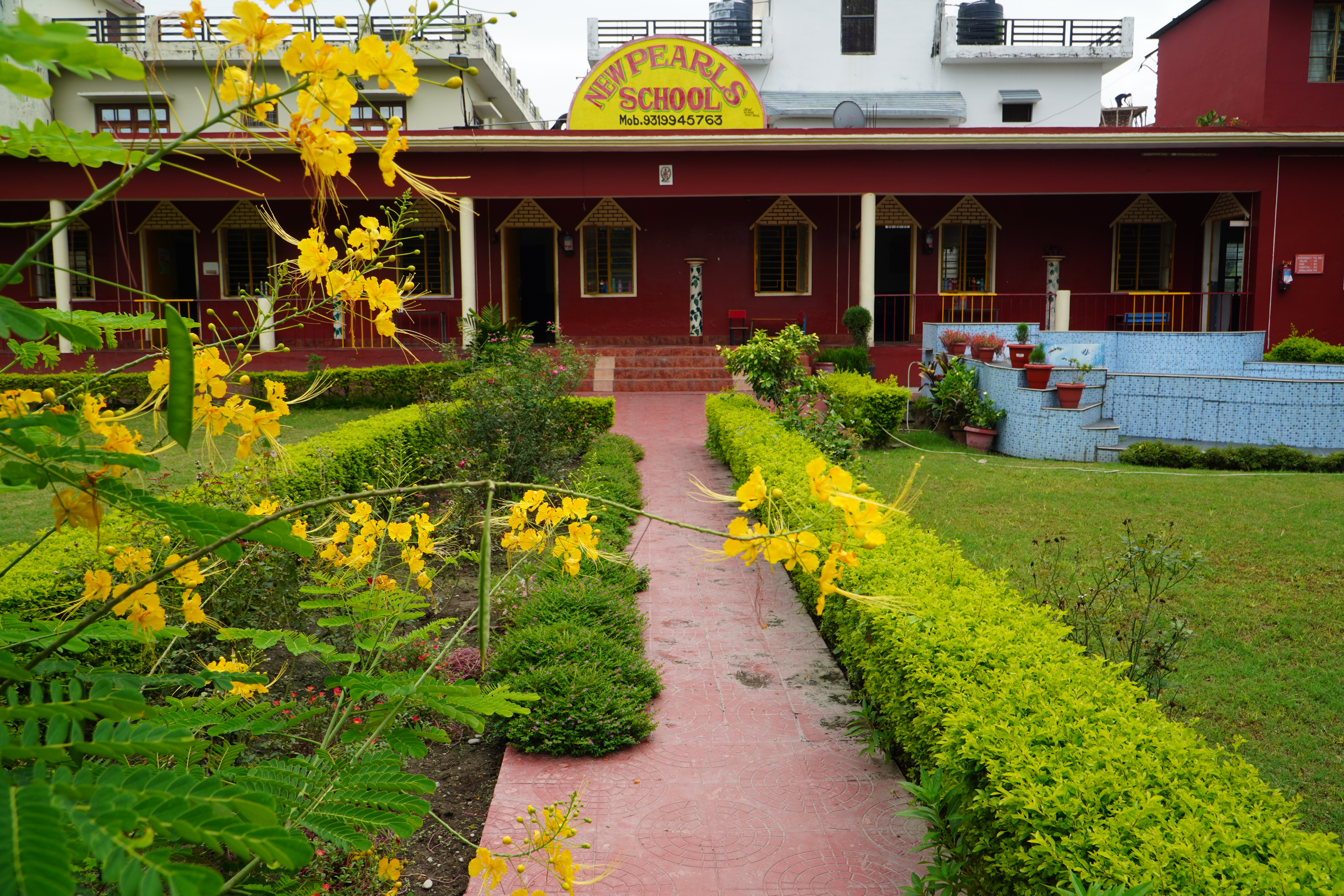school_banner